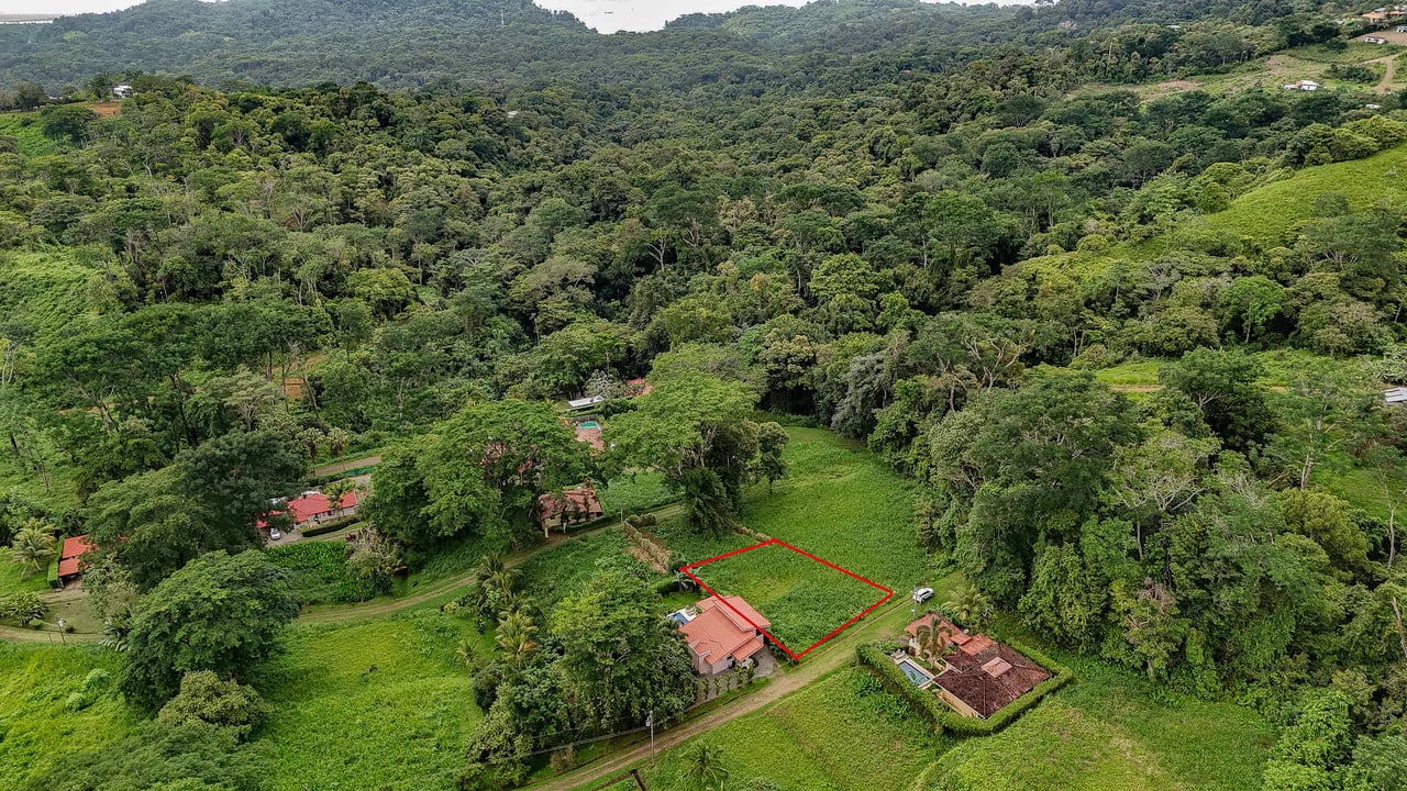 A beautiful sunny lot in a secure gated community with a nearby creek and jungle-covered valley.