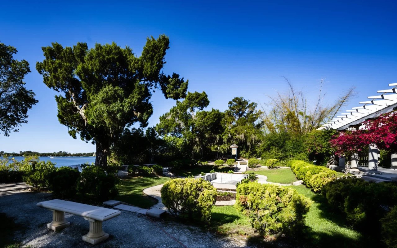 A lush garden scene unfolds under a clear blue sky, featuring a variety of green foliage.