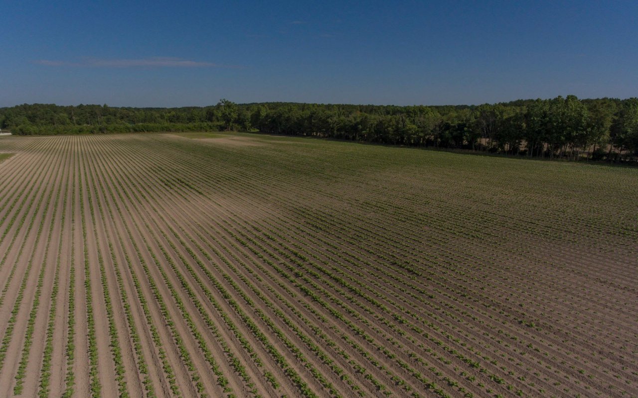 Land for sale in Harnett County NC