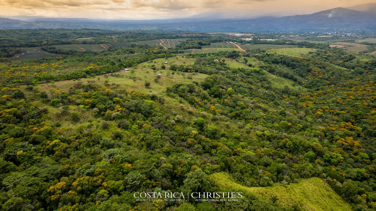 Finca Buenos Aires