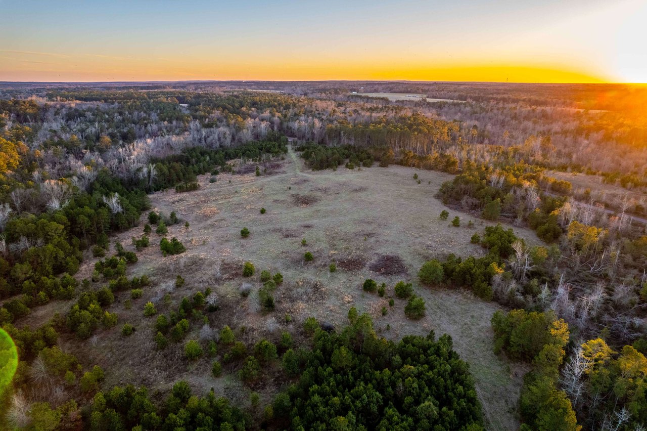 15 Acres CR 222, Henderson