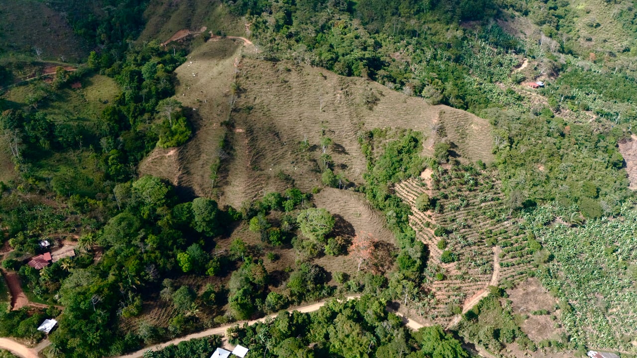 Over 2.5 Acres in Ceibo, Planted with Coffee and Fruits