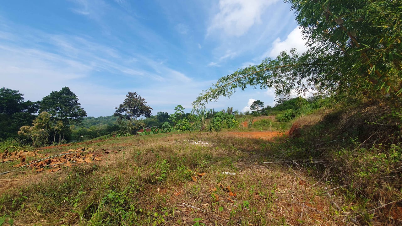 Peaceful Land for Sale