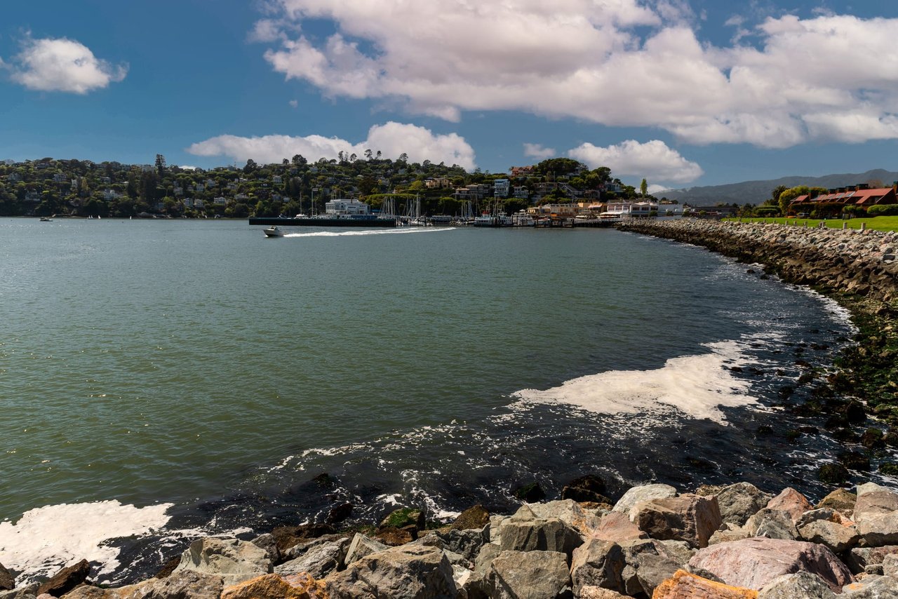 Coastal Charms: Exploring the Best Beaches near Tiburon, California