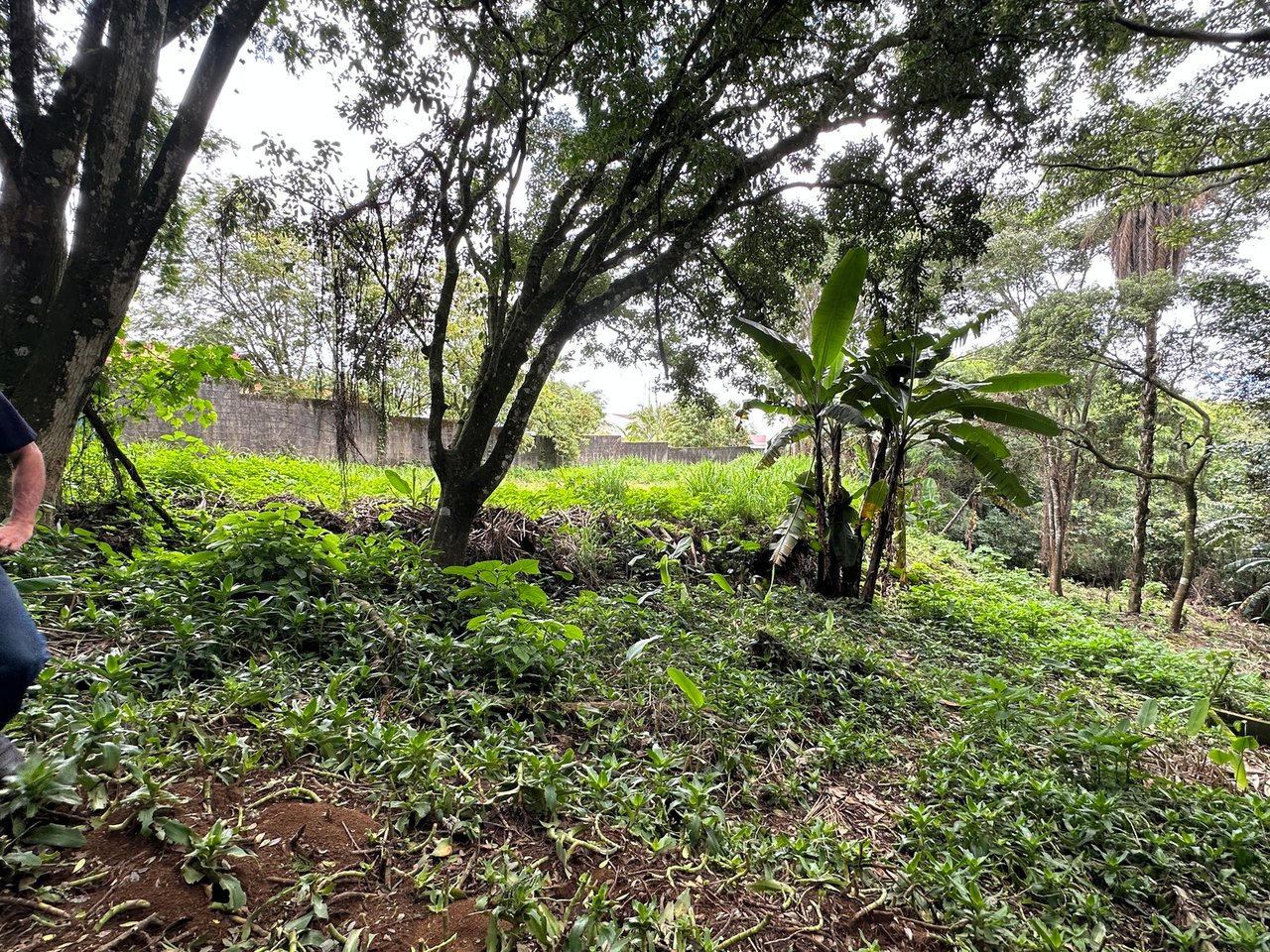 Lush Butterfly Garden Building Lot, Heredia