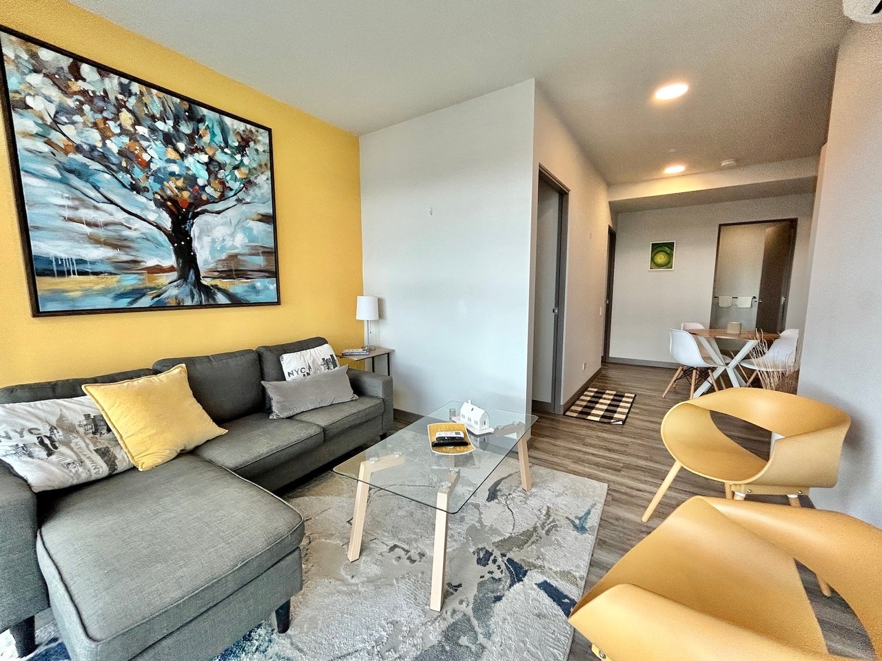 Skyline View Furnished Condo, Sabana and Rohrmoser, San Jose
