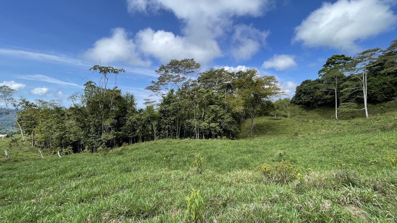 Whales Tail and Ocean View Farm, Over 39 acres