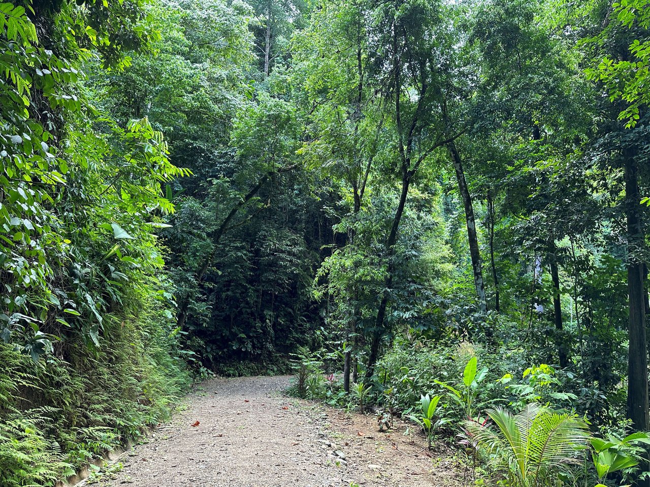 5.77 Acres With 4 Building Sites. Ocean Views, Rivers And Rainforest Abound In Cinco Ventanas! Ojochal 