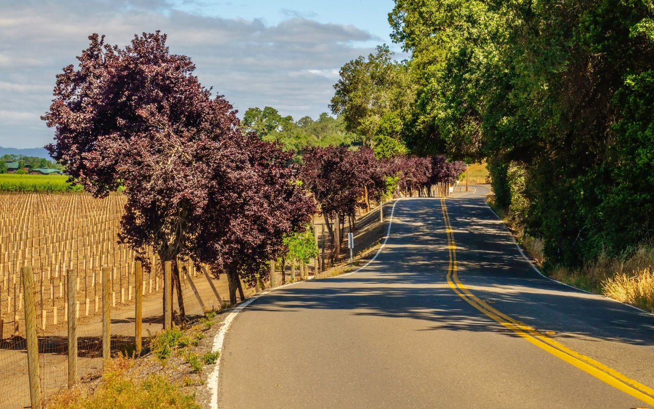 Rohnert Park / Cotati