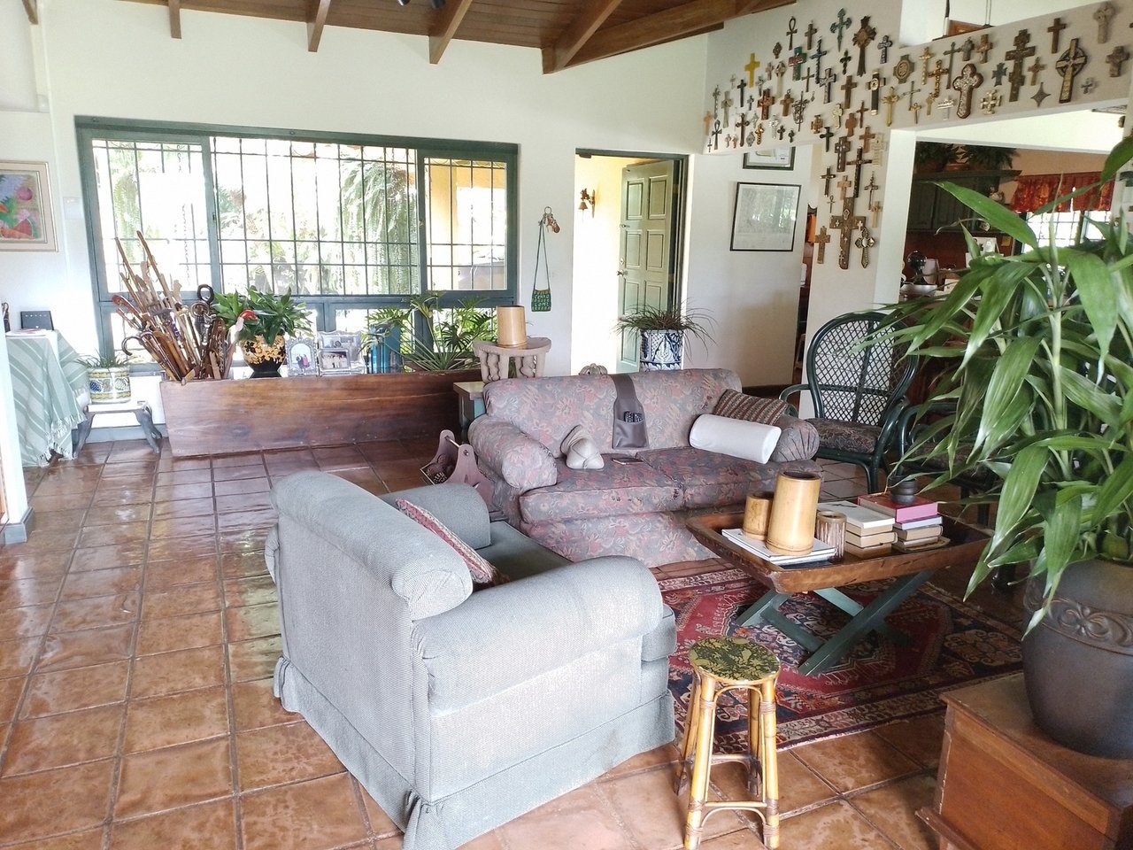Coffee Farm Hacienda Estate, Perez Zeledon, San Jose