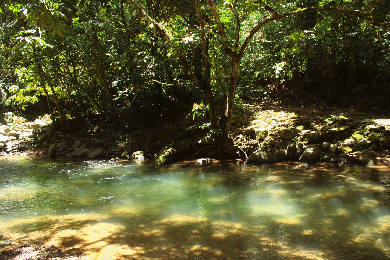 Wildlife Reserve Farm close to Ojochal