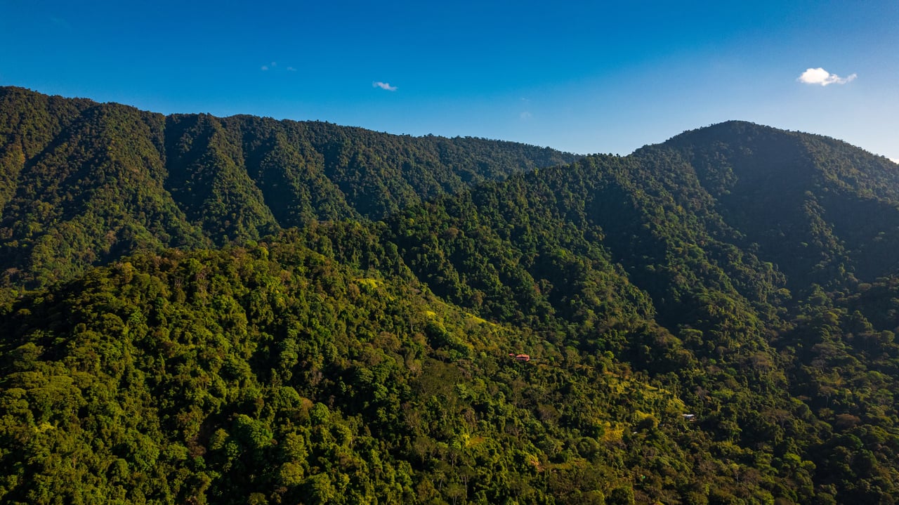 Stunning Ocean & Mountain view lot