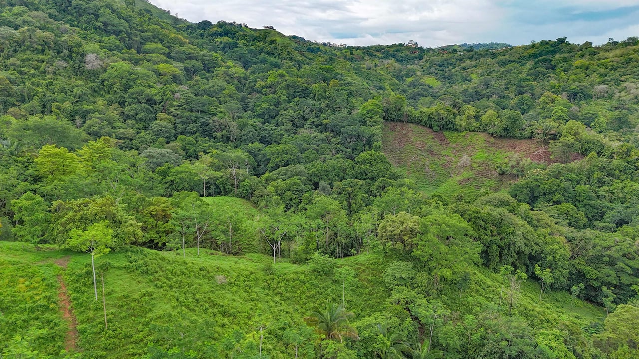 177 acre Ocean view property with multiple plantels, unspoiled mountain, jungle, river and waterfall areas