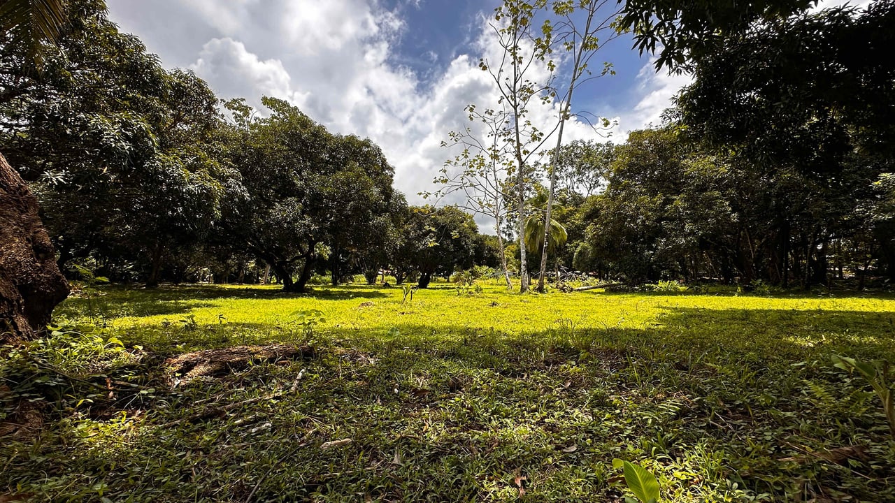 DEVELOPERS DREAM! Bahia, Uvita, walk to the beach!