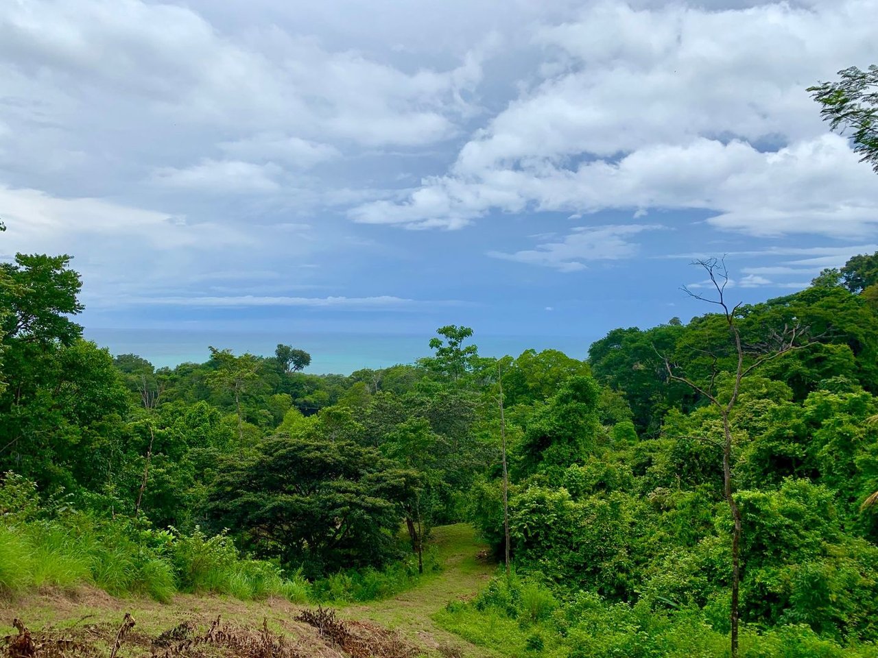 Triple Waterfall Ocean View Land, Dominical, Puntarenas