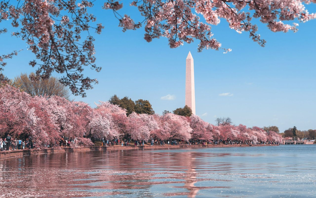 Unforgettable Activities in Washington, DC cover