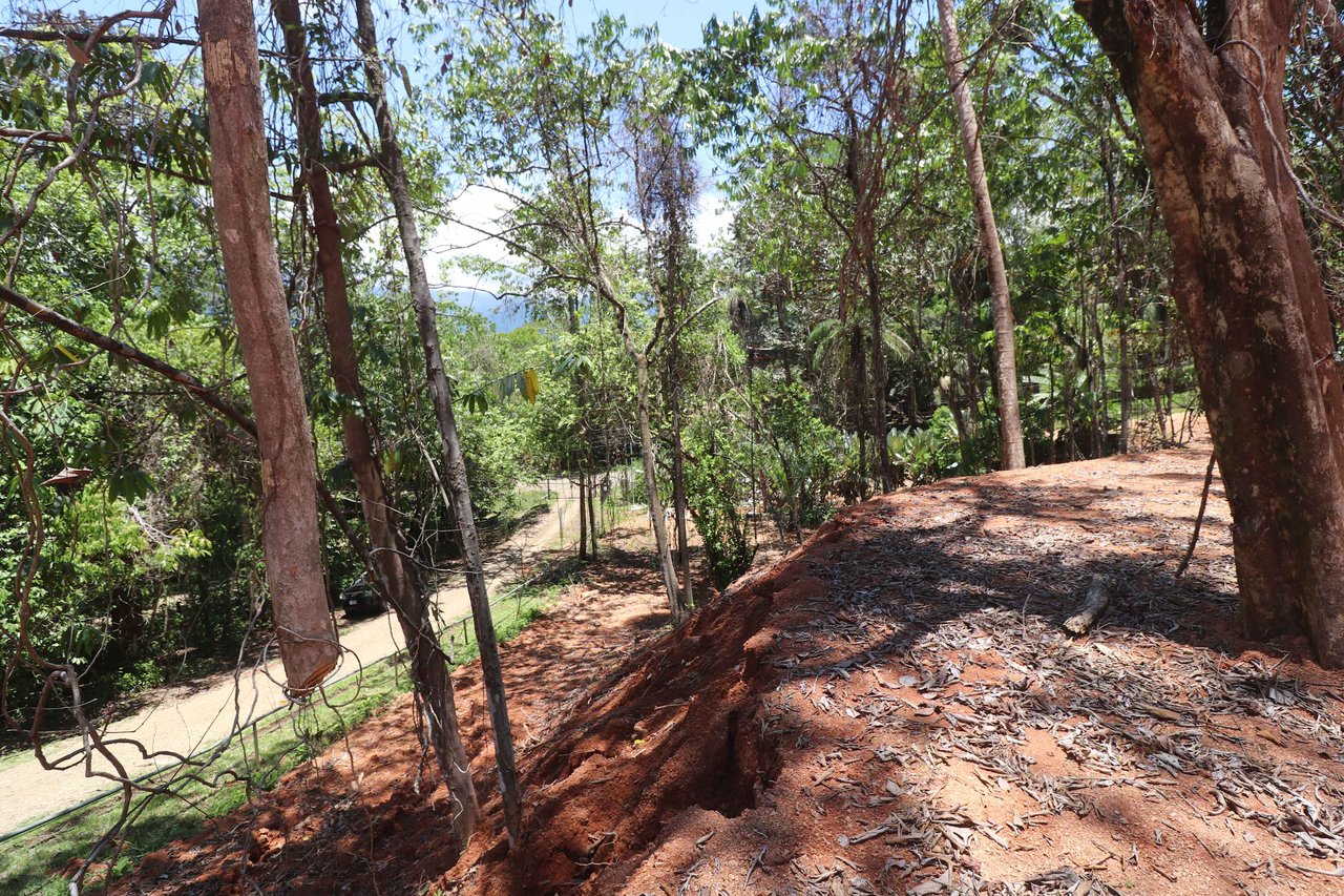 Over One Acre Attractive Lot on the Popular PEREZOSO Road.