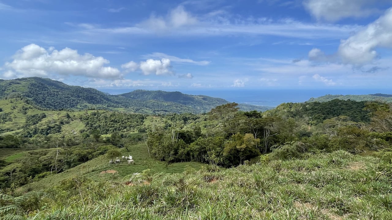 Whales Tail and Ocean View Farm, Over 39 acres