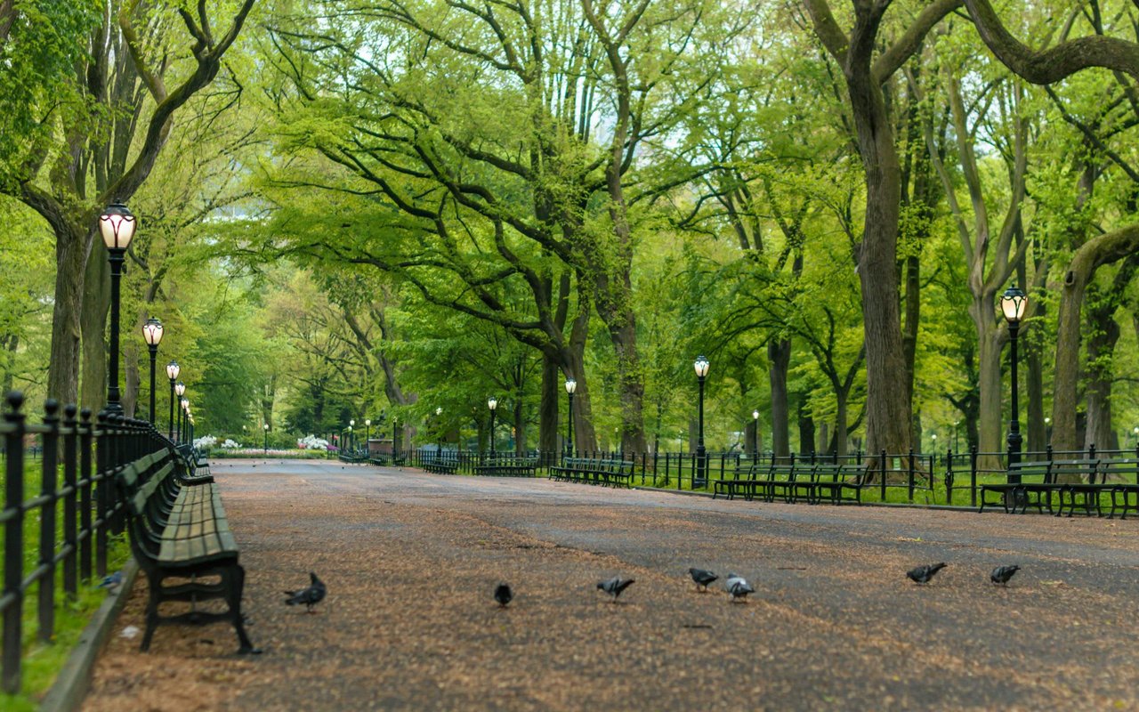 Chastain Park Offers Small-Town Charm in the Heart of Buckhead