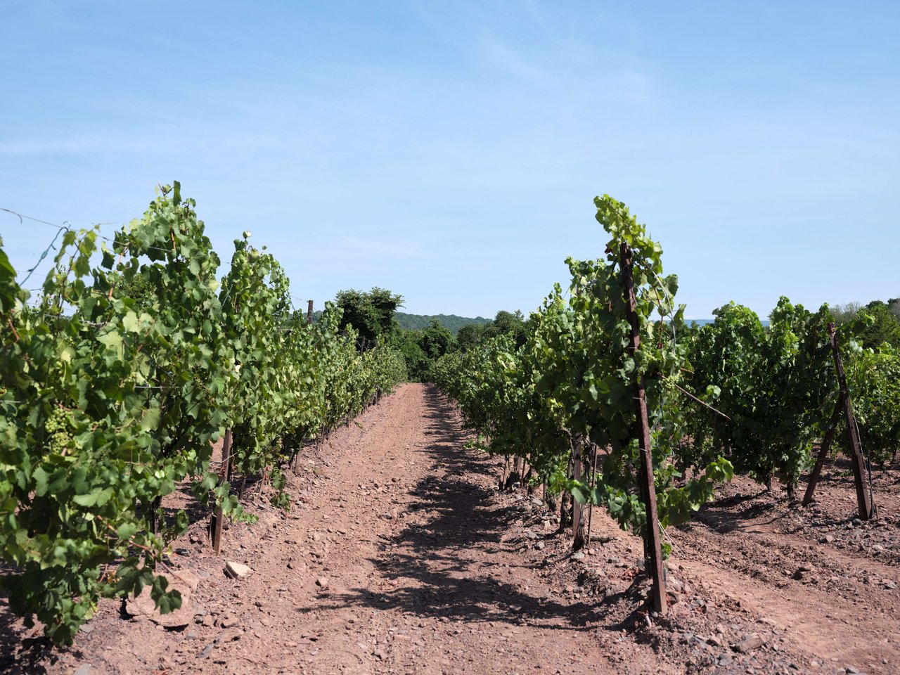 Sand Castle Winery | Bucks County, PA | $4,500,000
