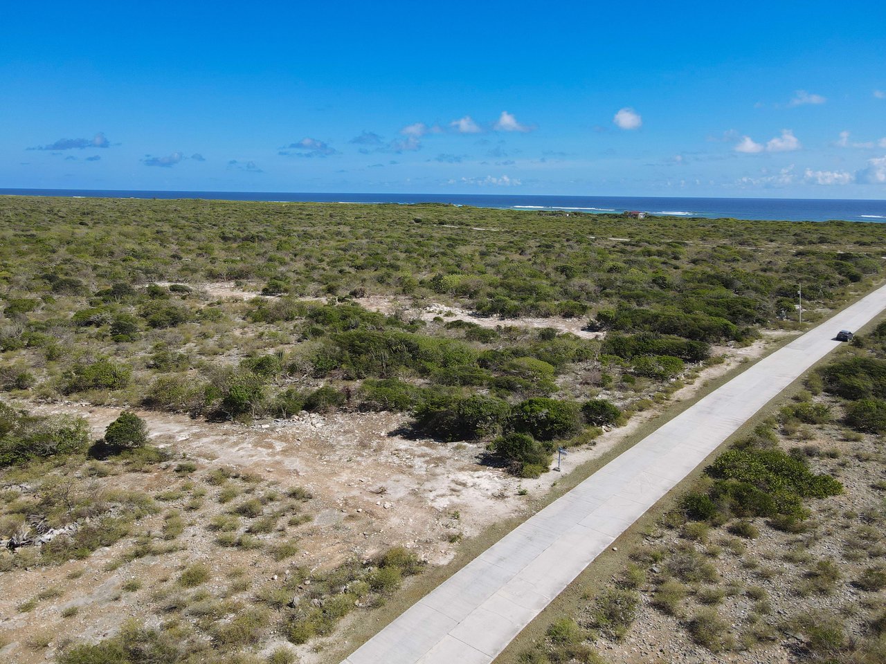 782 .520 Acres at Loblolly Bay