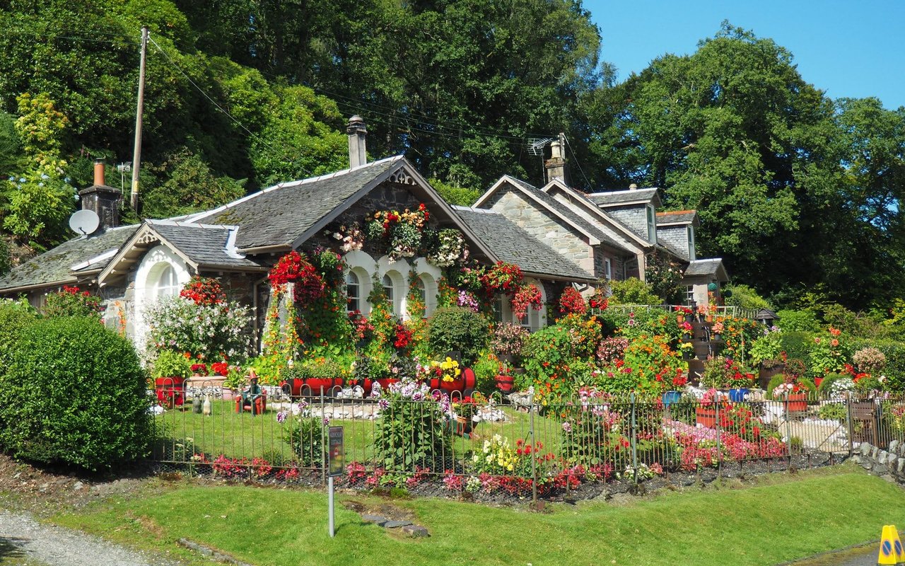 We Are the Gardeners: Joanna Gaines on Her New Book, Gardening Mistakes, and More