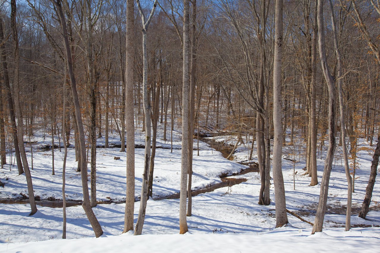 North Raleigh Lots for Sale