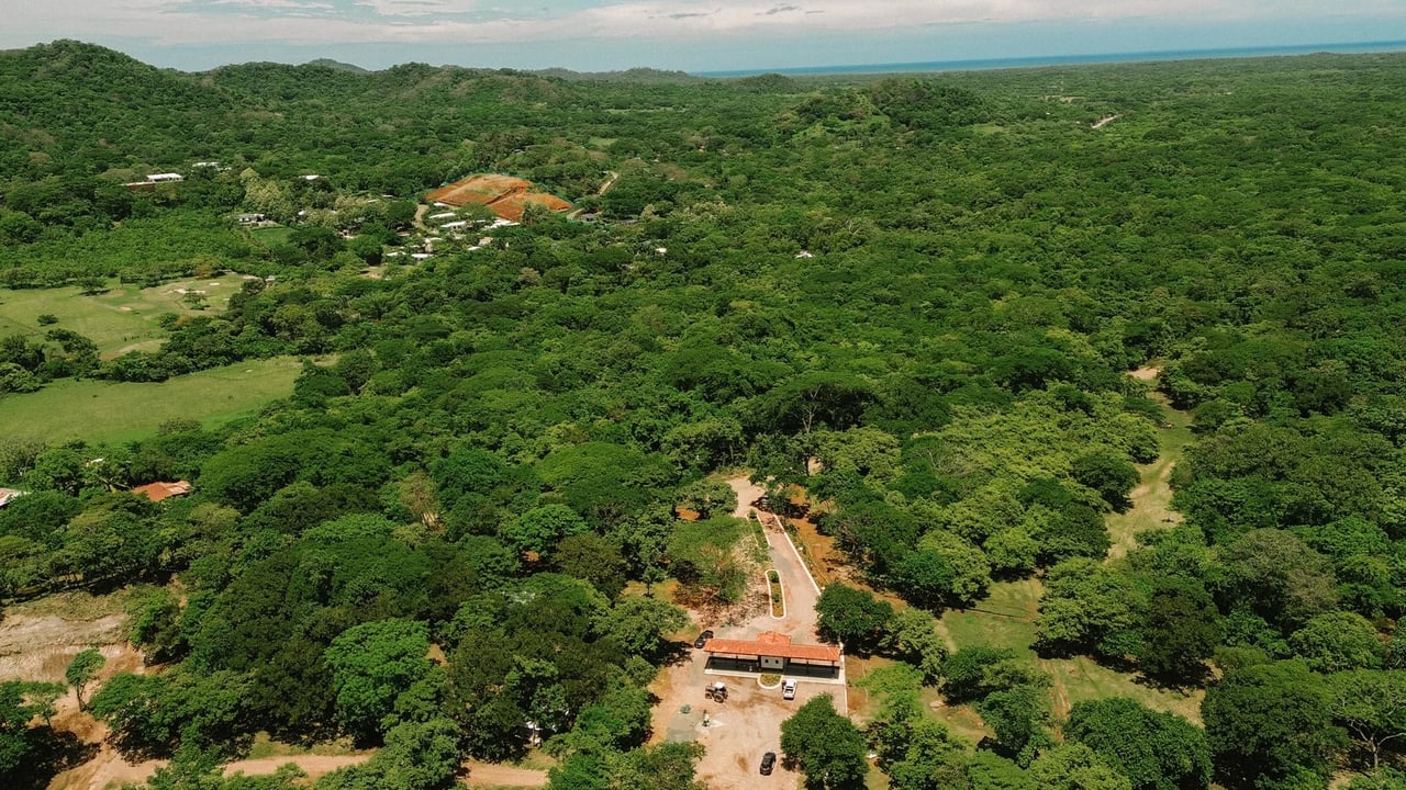 Prime Parcel in a Natural Oasis, Tamarindo, Guanacaste