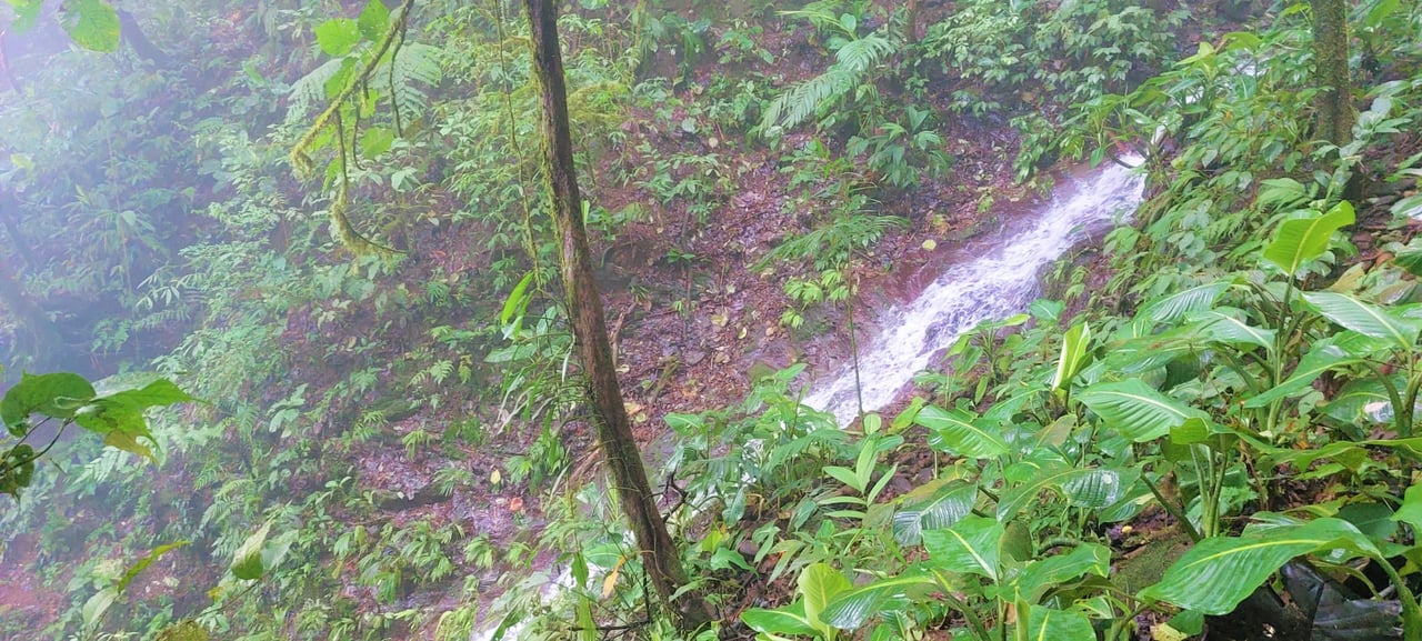 Off Grid Farm  at the top of the Uvita mountain range