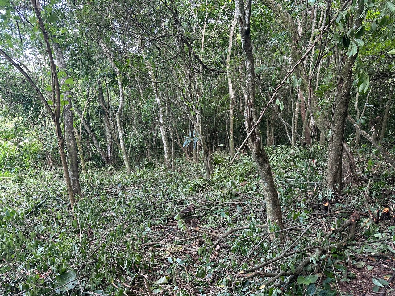 Panoramic View Buildable Land, Escazu, San Jose