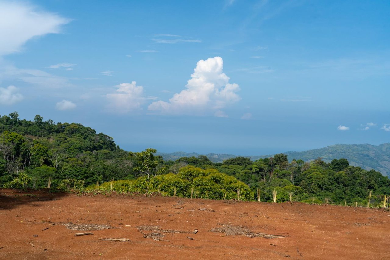 Pristine Jungle Ocean View Farm With Rivers