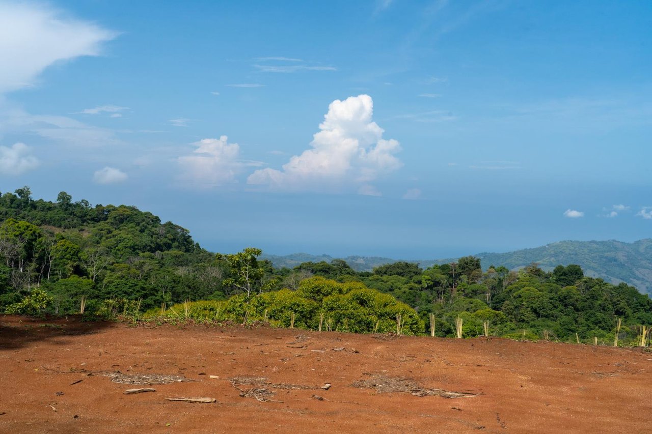 Pristine Jungle Ocean View Farm With Rivers