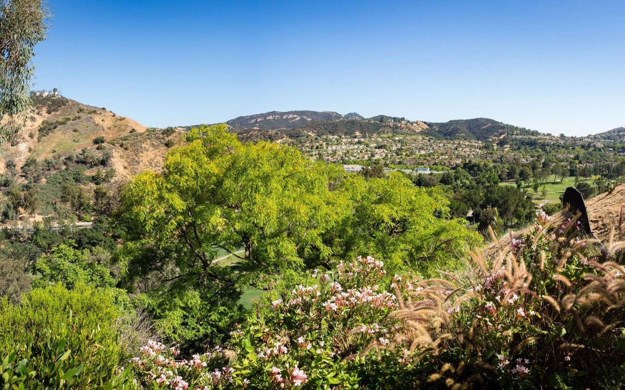 Calabasas Hills