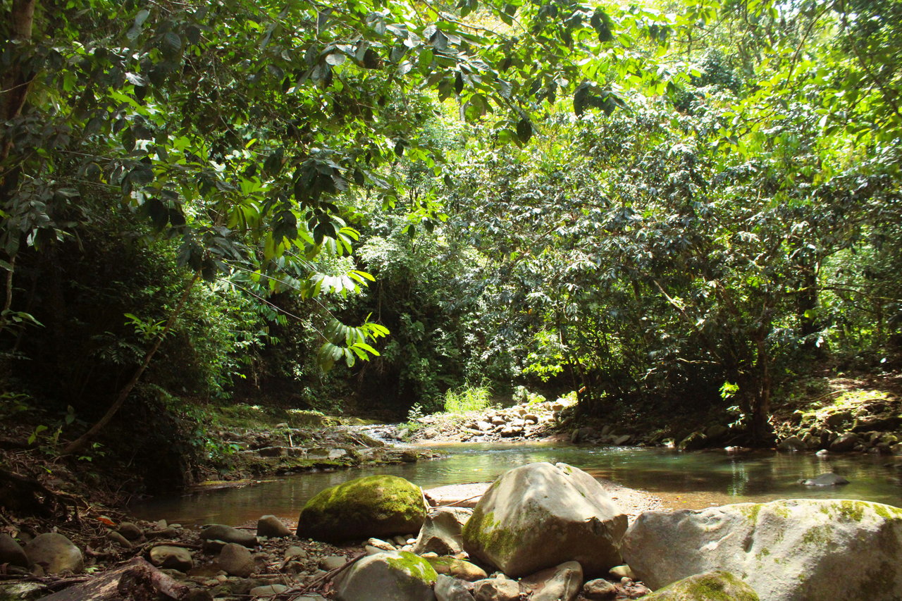 Wildlife Reserve Farm close to Ojochal