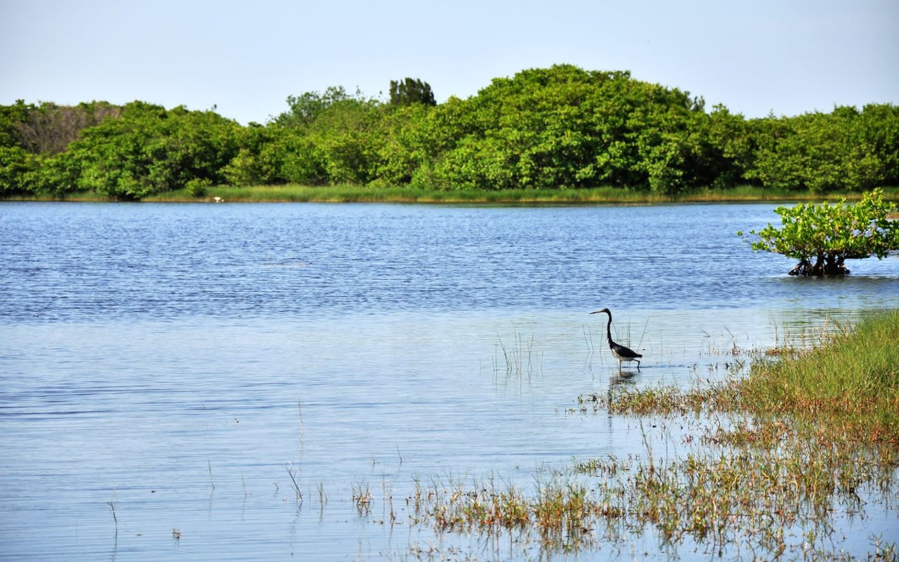A Guide to Longboat Key Parks