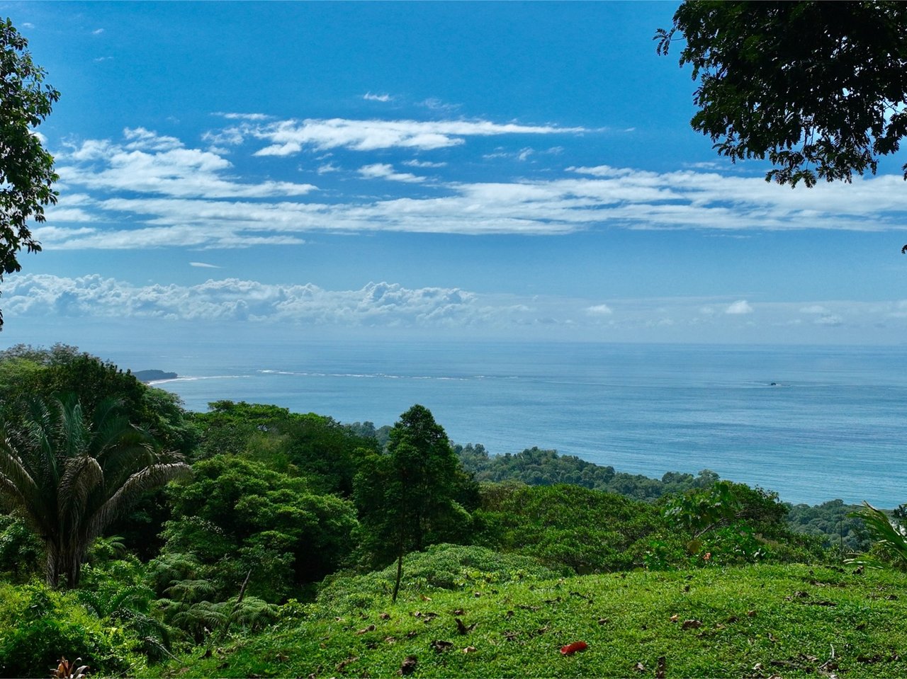 Whale Tail View Building Land, Uvita, Puntarenas