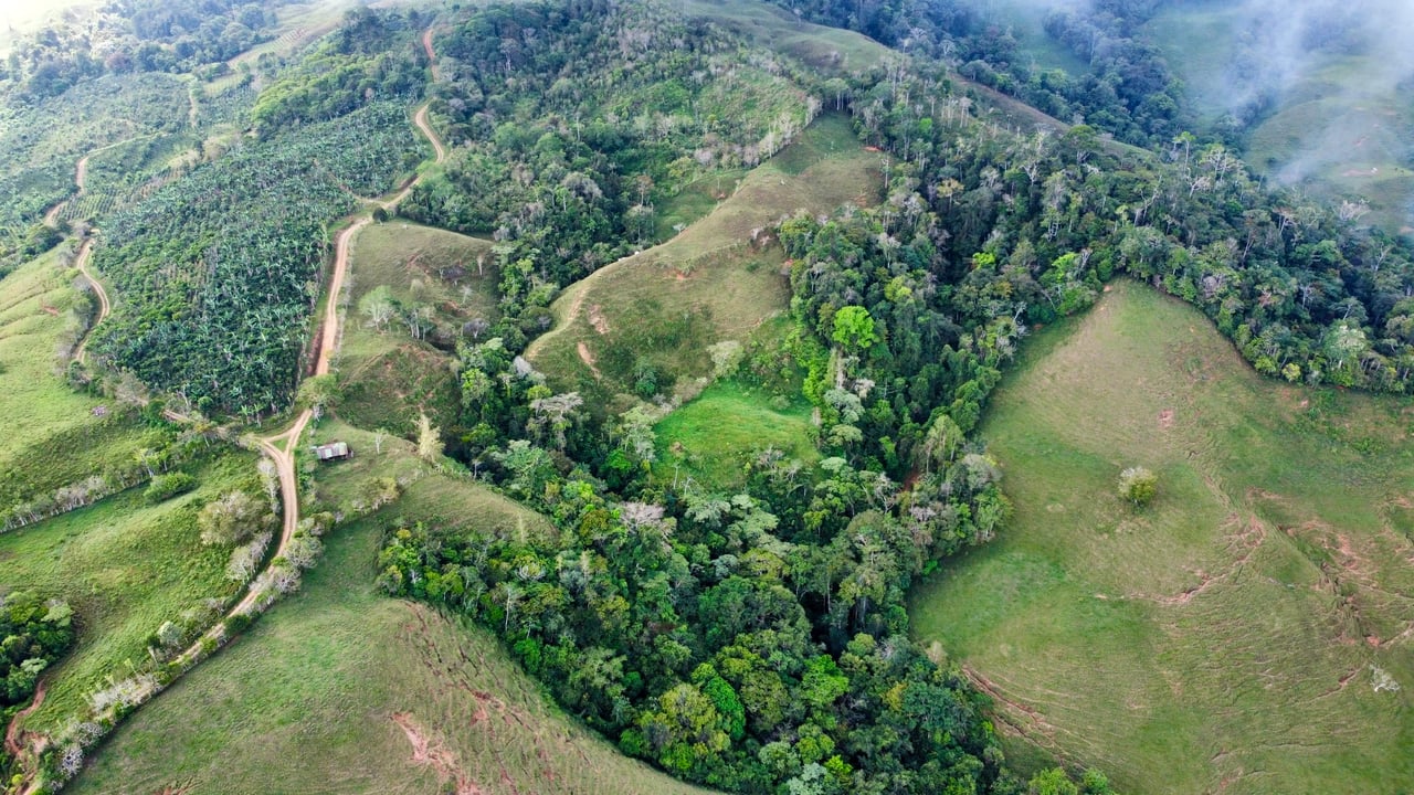 OVER 14 ACRES FARM IN ALTO DE GUADALUPE