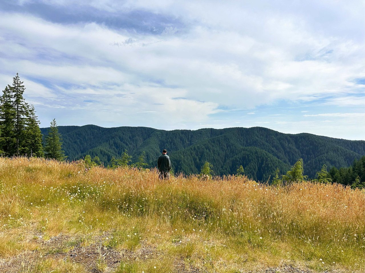 Cummins Creek Wilderness Overlook