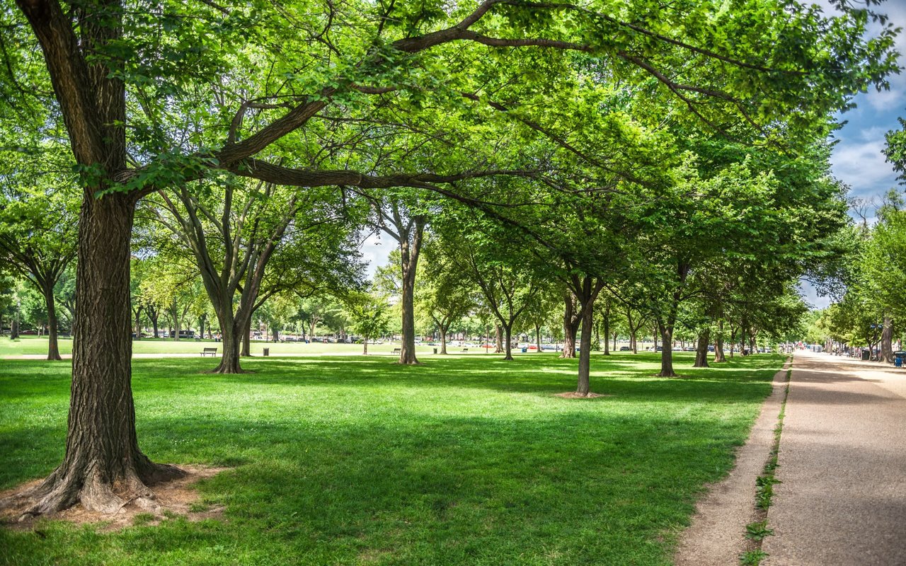 American University Park
