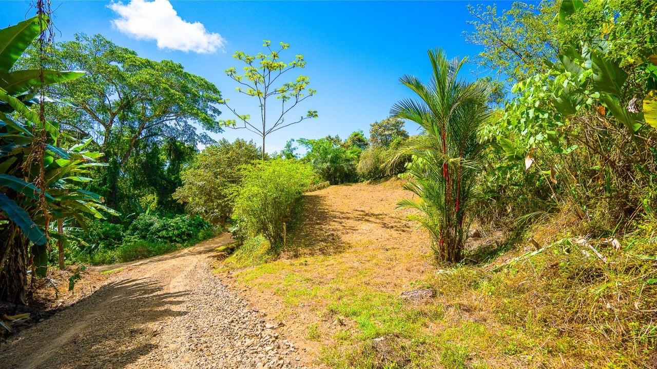 Forest View Build Ready Lot, Ojochal, Puntarenas