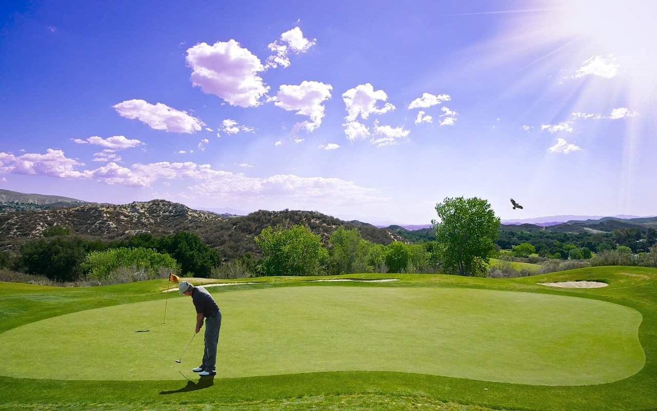 The golfer wears a light-colored hat and dark clothing.