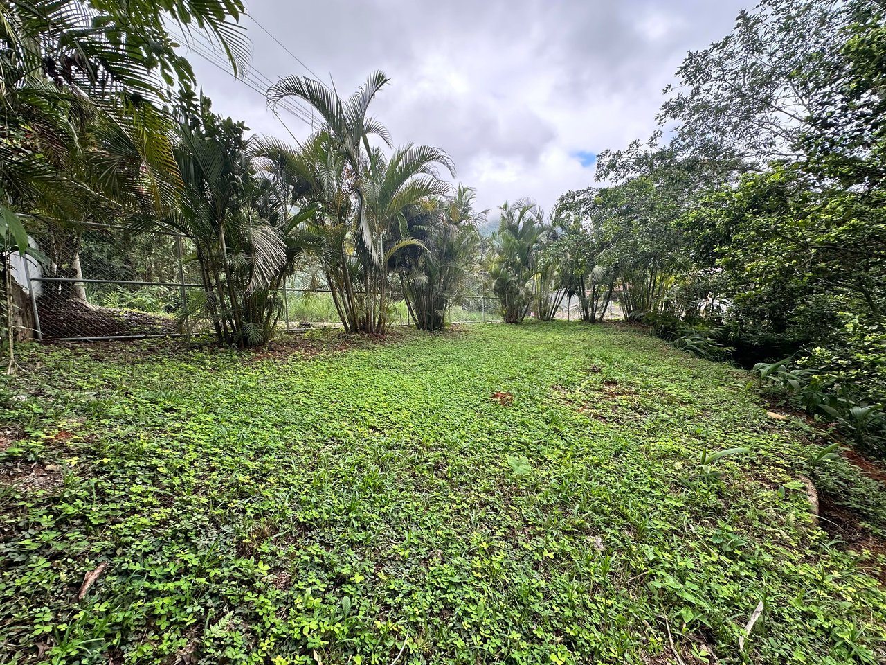 Discover the Charm of an Exotic Home in Las Tumbas, Costa Rica