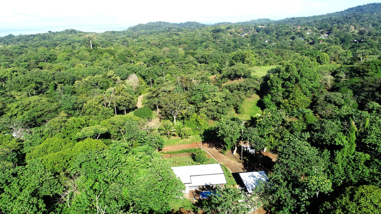 2-Bedroom, Brand New Modern House In Jungle Community On Calle Tucan.