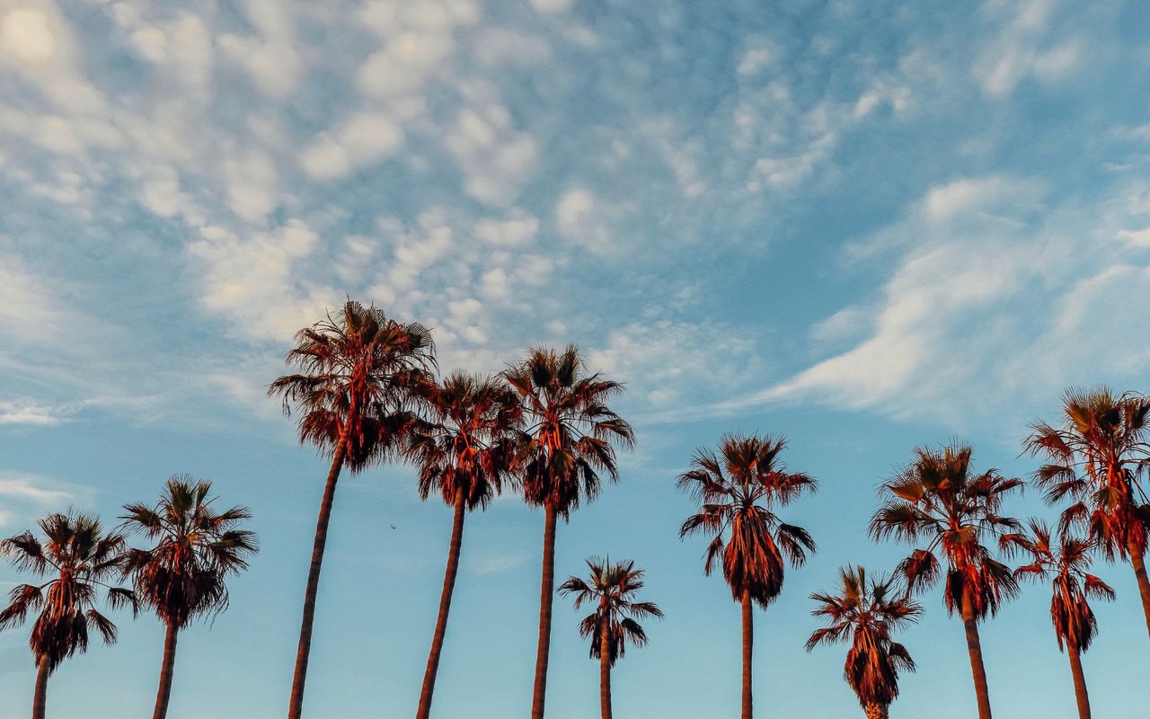 5 PACKED DAYS IN LOS ANGELES: JOJO’S GUIDE TO TAKING HER BEST FRIENDS AROUND LA