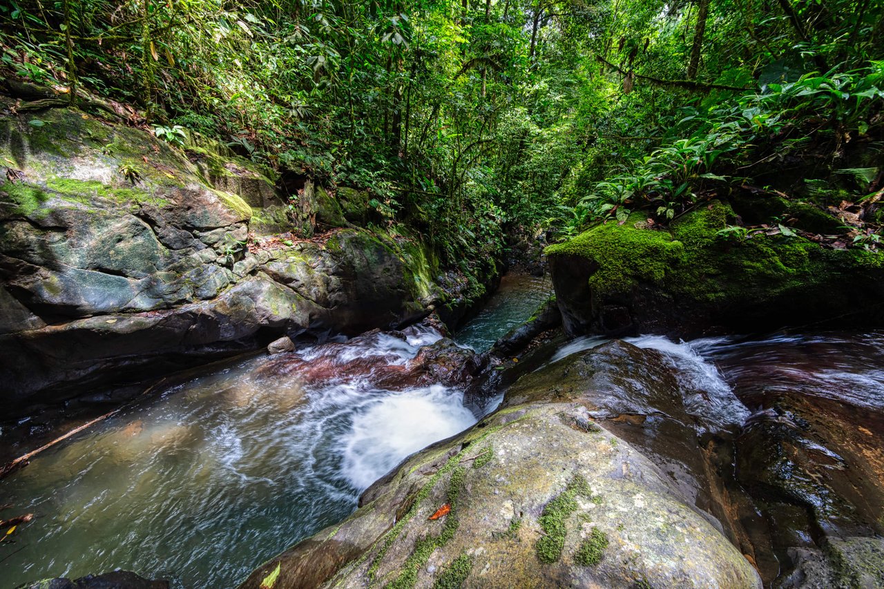 Secluded 67-Acre Costa Rican Paradise with Luxurious Residence