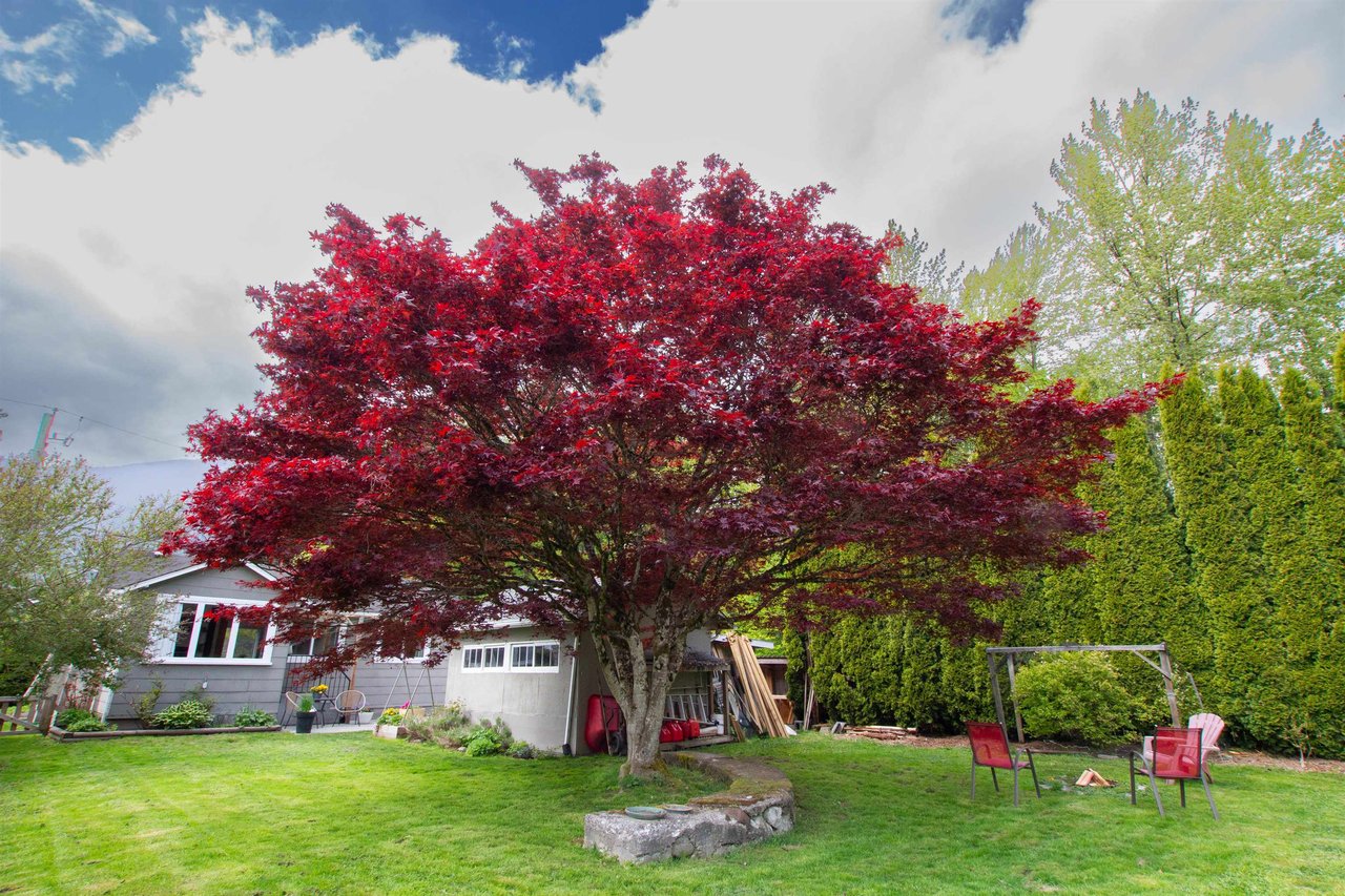 38896 Britannia Ave