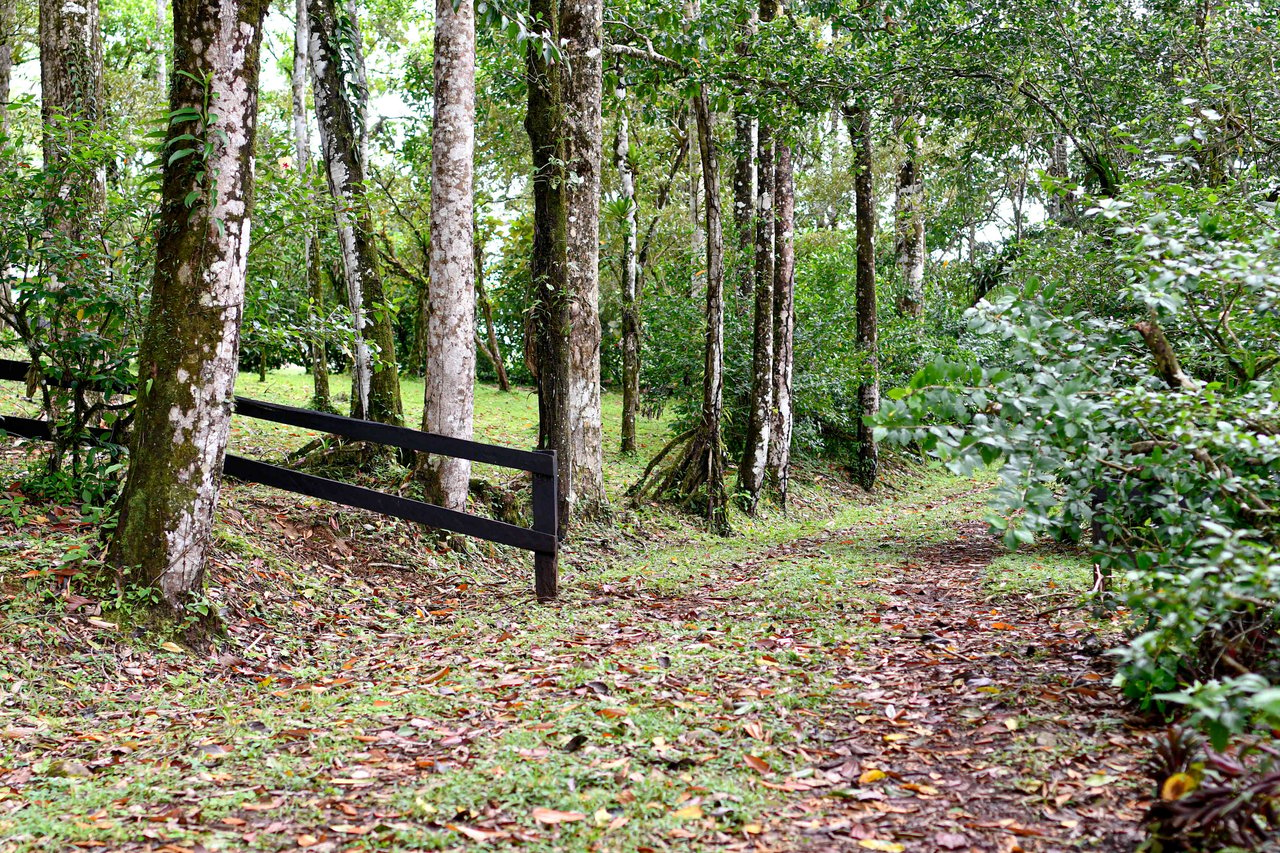 Finca Macadamia | 154-acre Rainforest Paradise with two Houses and Trails!