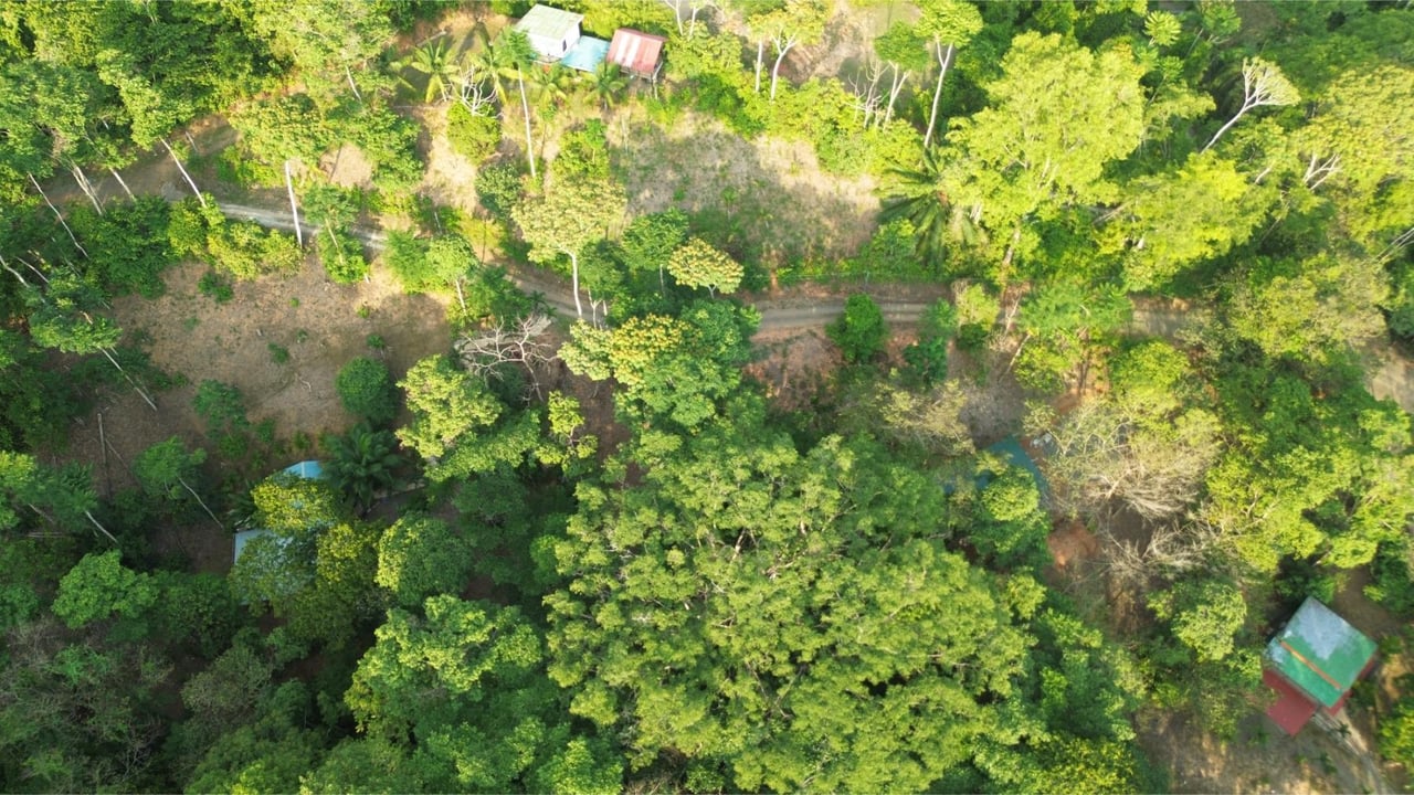 Multi Residential Income Estate, Uvita, Puntarenas