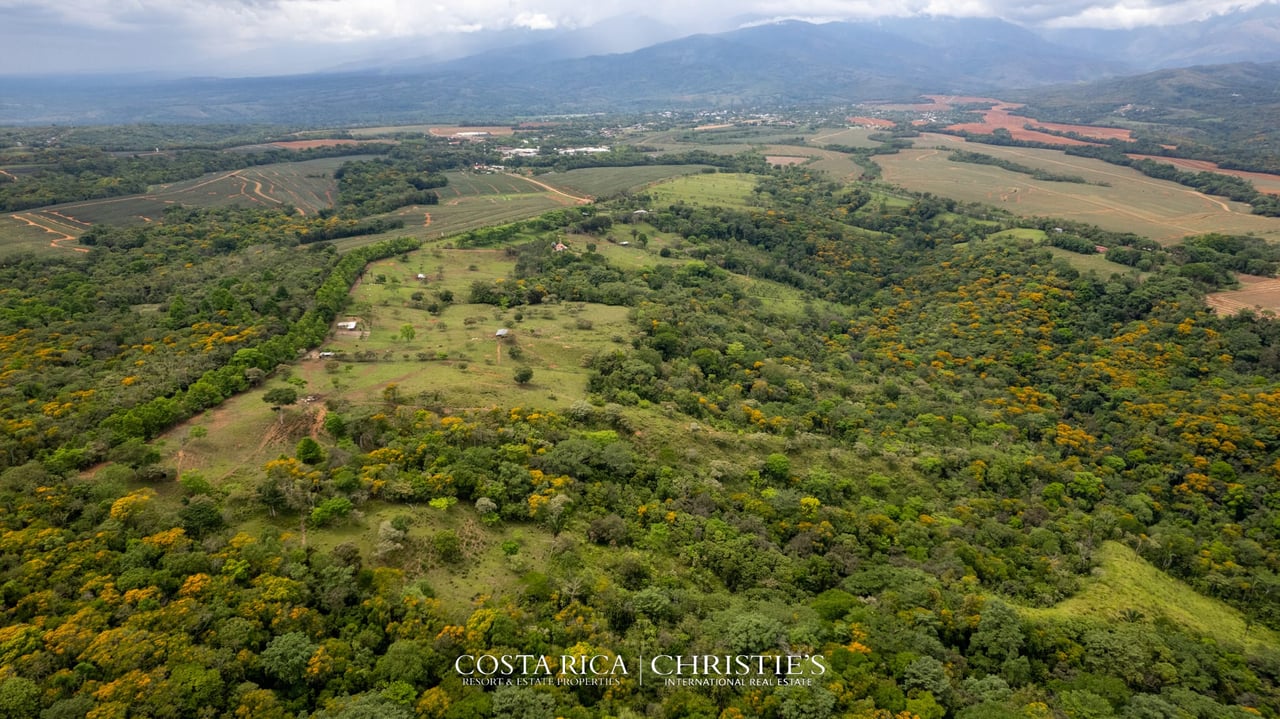 Finca Buenos Aires