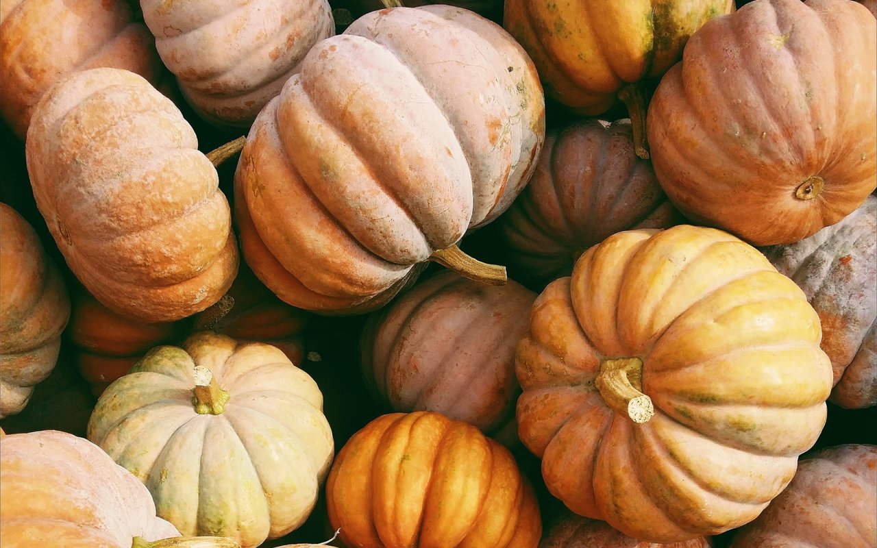 October 2021 Newsletter